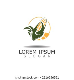 Corn Logo design, theme,farming template nature illustration 