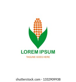 corn logo design vector illustration