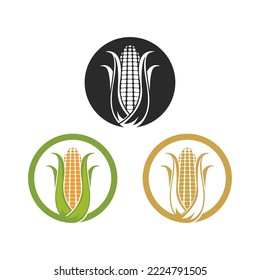 Corn logo illustration vector flat design template