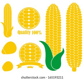 Corn logo. Isolated corn on white background