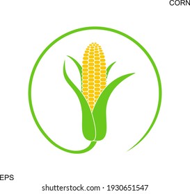 Corn logo. Isolated corn on white background
