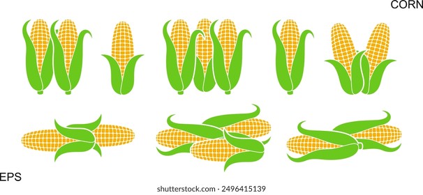 Corn logo. Isolated corn on white background