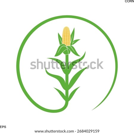 Corn logo. Isolated corn on white background