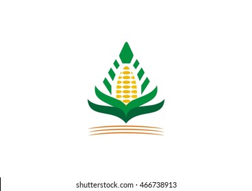 corn logo,icon triangle