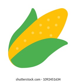 Corn or Maize