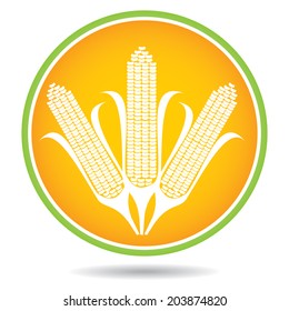 Corn, maize abstract illustration on the circular background