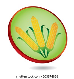 Corn, maize abstract illustration on the circular background