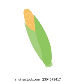 Corn, maize, corncob hand drawn illustration. Cartoon style flat design, isolated vector. Autumn print element, farming, gardening, harvest, agriculture, healthy food vegetarian diet ingredient