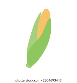 Corn, maize, corncob hand drawn illustration. Cartoon style flat design, isolated vector. Autumn print element, farming, gardening, harvest, agriculture, healthy food vegetarian diet ingredient