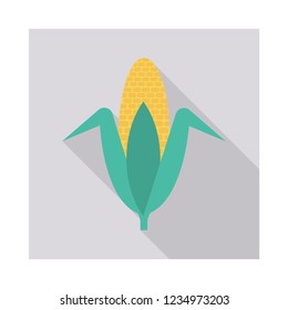 corn  maize   food 
