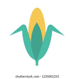 corn  maize   food 