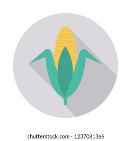 corn  maize   food 
