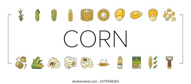 maíz verde maíz, cob dulce iconos set vector. grano de granja, planta alimenticia, campo agrícola amarillo, hoja fresca, cultivo orgánico, maíz de verano verde, cob ilustraciones de línea de color dulce