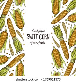 Corn, maize illustration. Hand drawn corn design. Corn background. Vector illustration. Corn on the cob hand drawn vector illustration. Color, vintage design.