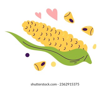 Corn maize kernel grain corncob line art drawing isolated concept. Vector flat graphic design illustration
