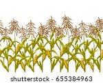 Corn maize plant vector seamless horizontal border pattern. Realistic botanical isolated illustration.