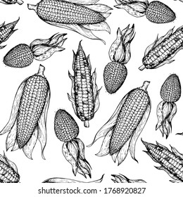 Corn, maize seamless pattern. Hand drawn corn design. Sketch background. Vector illustration. Corn on the cob hand drawn vector illustration. Engraved style, vintage design.