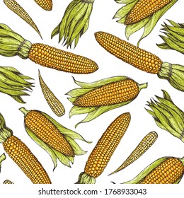 Corn, Maize Seamless Pattern. Hand Drawn Corn Design. Color Background. Vector Illustration. Corn On The Cob Hand Drawn Vector Illustration. 