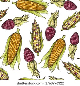 Corn, maize seamless pattern. Hand drawn corn design. Color background. Vector illustration. Corn on the cob hand drawn vector illustration. 