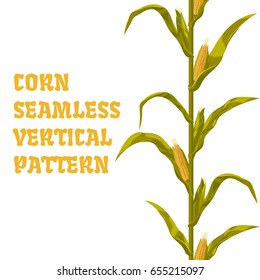 Corn maize vector seamless vertical pattern. Realistic botanical isolated illustration.