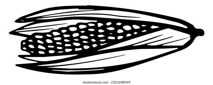 Maíz. Monocromo Hortalizas ecológicas frescas para el mercado agrícola, el paquete de productos y el diseño de tiendas. Ilustración de doodle de contorno vectorial aislada en fondo blanco.