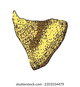 corn nachos hand drawn. yellow nachos, tortilla party, chili spicy corn nachos vector sketch. isolated color illustration