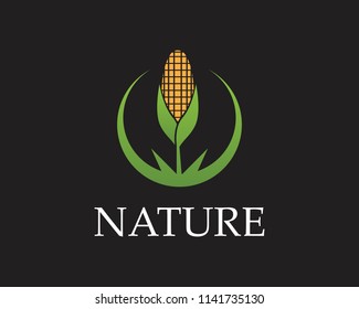 Corn nature industry logo vector illustration