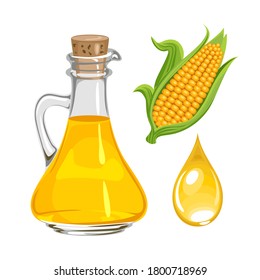 Corn oil in a glass bottle and drop isolated on white. Vector illustration. Yellow maize.