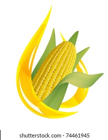 Corn oil. Stylized drop of oil, and corn cob. Vector illustration.