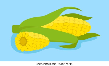 corn on a blue background