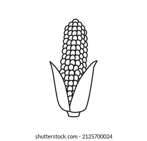 Corn on the cob, black line. Vector illustration of a vegetable in a cartoon childish style. Isolated funny clipart on white background. cute print
