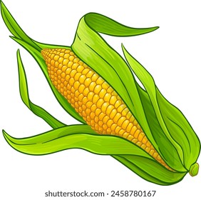 Corn on the Cob Colored Detailed Illustration