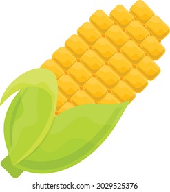 Corn on the Cob Concept, Fresh Vegetable Vector Icon Design, Autumn or Fall activities Symbol, Dry weather Sign, Temperate climates Elements Stock illustration