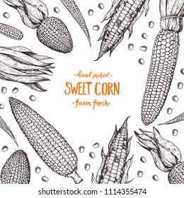 Corn on the cob hand drawn vector illustration. Corn sketch illustration. Engraving style, vintage design.