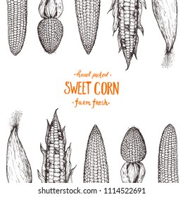 Corn on the cob hand drawn vector illustration. Corn sketch illustration. Engraving style, vintage design.
