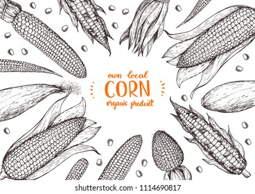 Corn on the cob hand drawn vector illustration. Top view frame. Corn sketch illustration. Engraving style, vintage design.