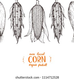 Corn on the cob hand drawn vector illustration. Corn sketch illustration. Engraving style, vintage design.