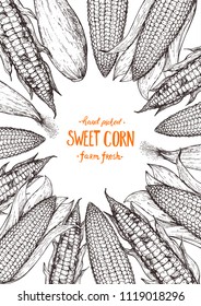 Corn on the cob hand drawn vector illustration. Top view frame. Corn sketch illustration. Engraving style, vintage design template. 