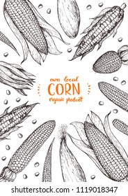 Corn on the cob hand drawn vector illustration. Top view frame. Corn sketch illustration. Engraving style, vintage design template. 