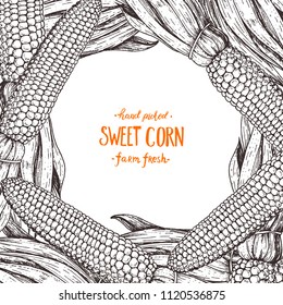 Corn on the cob hand drawn vector illustration. Corn sketch illustration. Engraving style, vintage design.