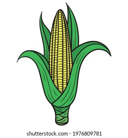 corn on the cob. illustration, isolated, comic, vegetarian.