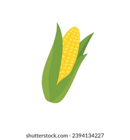 Corn on the cob, isolated on white background, maize, vector illustration, flat style