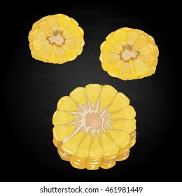 Corn on the cob kernels isolated