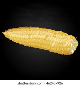 Corn on the cob kernels isolated