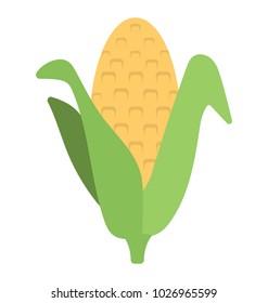
Corn on the cob with leaves, corn stalk flat icon
