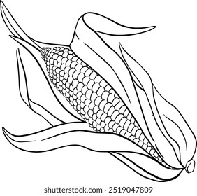 Corn on the Cob Outline Illustration