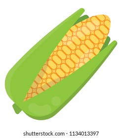 A corn on the cob ready to come out of its leafy shell, this is fresh corn icon