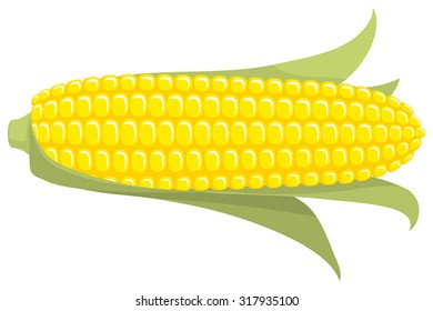 Corn on the Cob / Sweetcorn with leaves, on transparent background, flat graphic vector illustration. Fully adjustable & scalable.