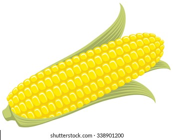 Corn on the Cob / Sweetcorn with leaves, flat graphic vector illustration. Fully adjustable & scalable.