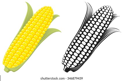 Corn on the Cob / Sweetcorn with leaves, flat graphic vector illustration. Colour and Black & White. Fully adjustable & scalable.